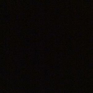 Meet your Posher, Bianca